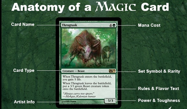 MTG Anatomy of a Card